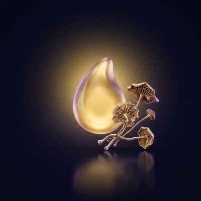 Magic Mushroom Extract